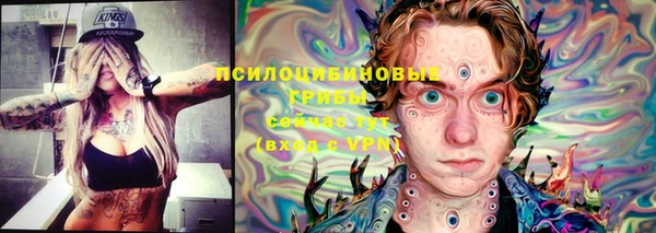 ПСИЛОЦИБИНОВЫЕ ГРИБЫ Волоколамск