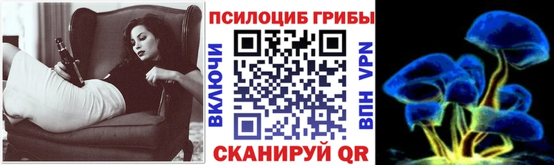 Псилоцибиновые грибы Psilocybe  Купить где  Старица 